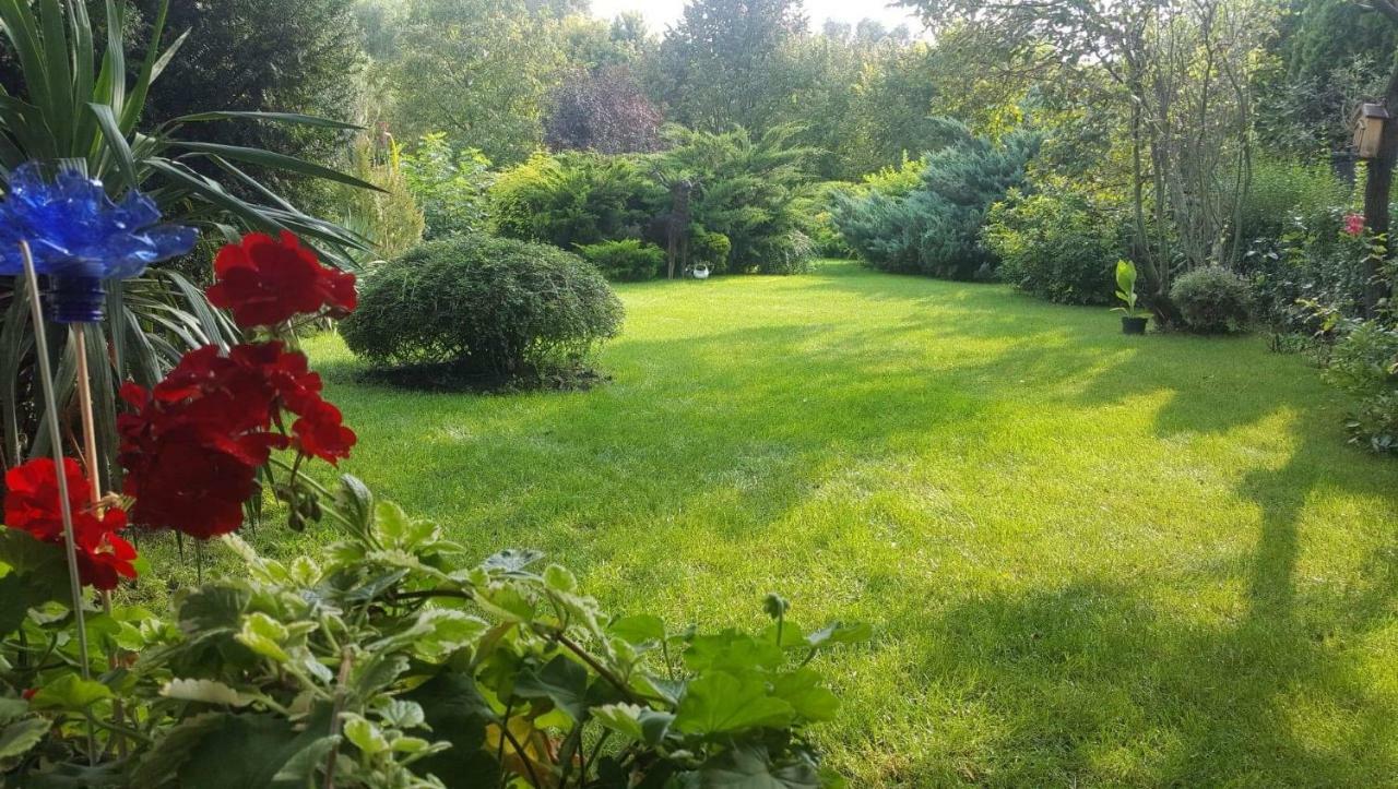 Tavirozsa Daire Balatonfůzfő Dış mekan fotoğraf